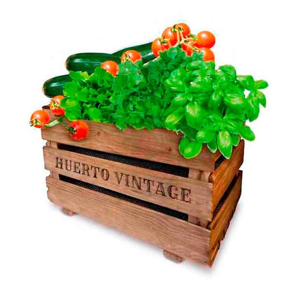 Agreen Urban Trädgård Vintage Eco Guld