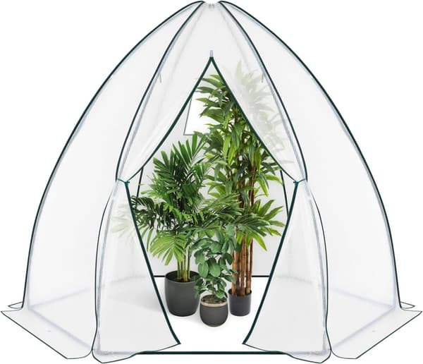 Rootz konisk drivhus - Havedrivhus - Plantehus - Vejrbestandig, holdbar struktur, Optimal ventilation - 240cm x 200cm x 240cm / 160cm x 180cm x 160cm