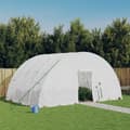 Miniatyrbillede 2 af 11: vidaXL drivhus med stålstel 24 m² 6x4x2,85 m hvid -  Drivhuse