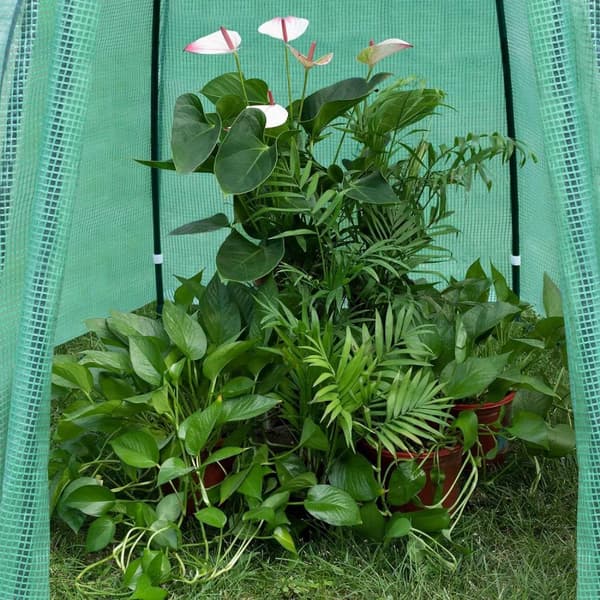 Rootz konisk drivhus - Planteskjul - Vinterhavehus - PE stof - 240cm x 200cm x 240cm
