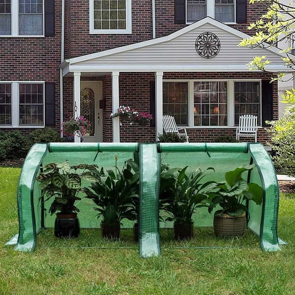 Rootz Film Greenhouse - Plant Shelter - Tomat House - UV-resistent - 130cm x 60cm x 50cm - Året runt - Vit/Grön