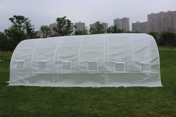 Puutarhafoliotunneli 600 x 300 x 200 cm, läpinäkyvällä UV-12 kalvolla