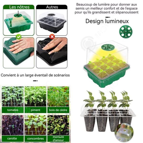 INN Mini växthus för växter Kit med justerbar lampa 5 delar 60 celler Ventilation Kupol fröplanta frö Frön Växthus groning