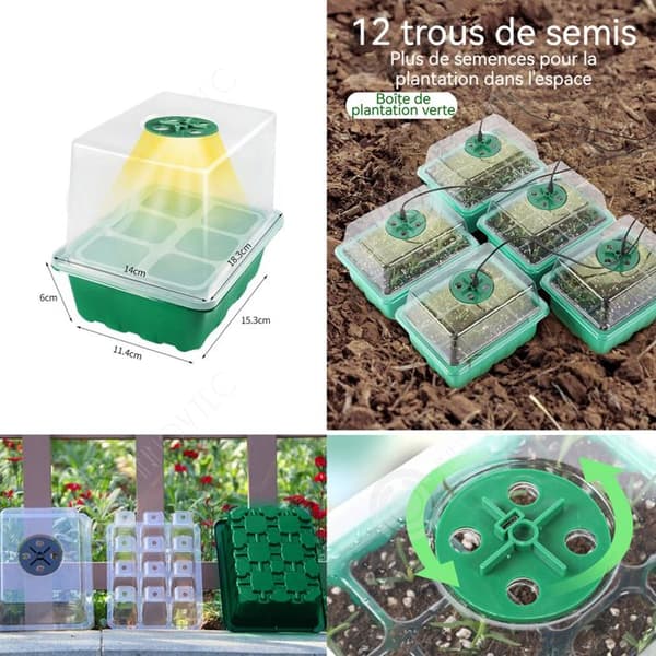 INN Mini växthus för växter Kit med justerbar lampa 5 delar 60 celler Ventilation Kupol fröplanta frö Frön Växthus groning