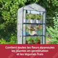 Miniatyrbild 2 av 4: TD Greenhouse 69cm x 49cm x 158cm Garden Greenhouse PVC-plasttält med 4 våningshyllor Varje våning är 34cm hög