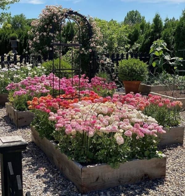 Køkkenkasse 120x120x30 Blomsterpotte Urteinspektion Trækasser