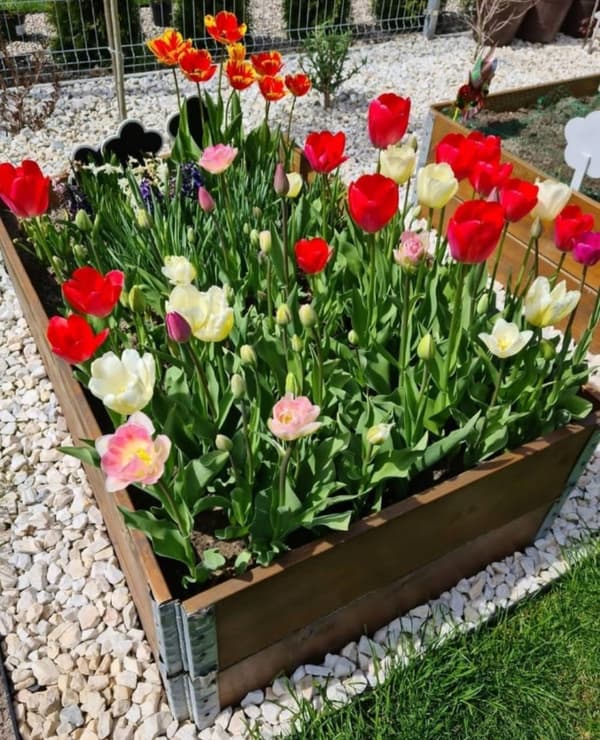 Køkkenkasse 120x120x30 Blomsterpotte Urteinspektion Trækasser