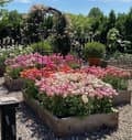 Miniatyrbillede 3 af 11: Køkkenkasse 120x800x20 Blomsterpotte Urteinspektion Trækasser