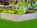 Miniatyrbillede 4 af 11: Køkkenkasse 120x800x20 Blomsterpotte Urteinspektion Trækasser