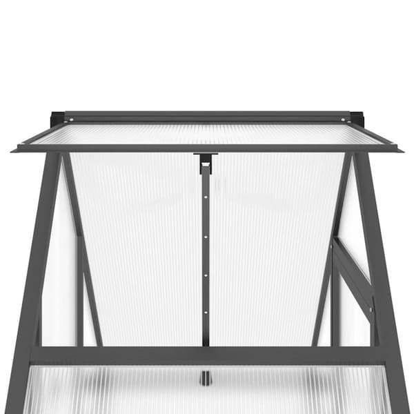 Växthus med ram antracit 169x58x202 cm aluminium
