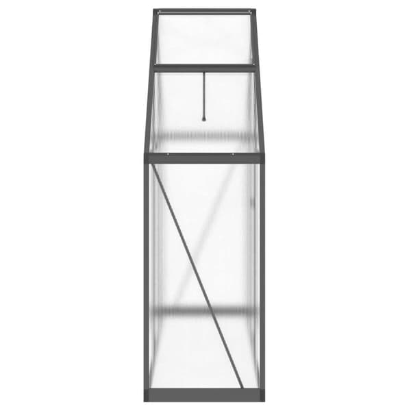 Växthus med ram antracit 169x58x195 cm aluminium