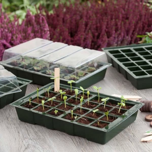 Miniväxthus - NATUR - Set med 4 mjuka plastterriner - 24-cells brickor - H11x35x23,5 cm