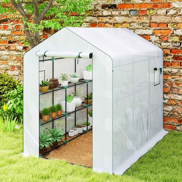Rootz 3m² Garden Greenhouse - Plant Shelter - Plant Conservatory - UV Resistent - 143 x 215 x 190 cm