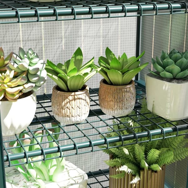 Rootz Folio Greenhouse - Min -Greenhouse - Plant House - Varhainen sänky - 4 hyllyä - Säänkestävä vakaus - 69 x 50 x 165 cm
