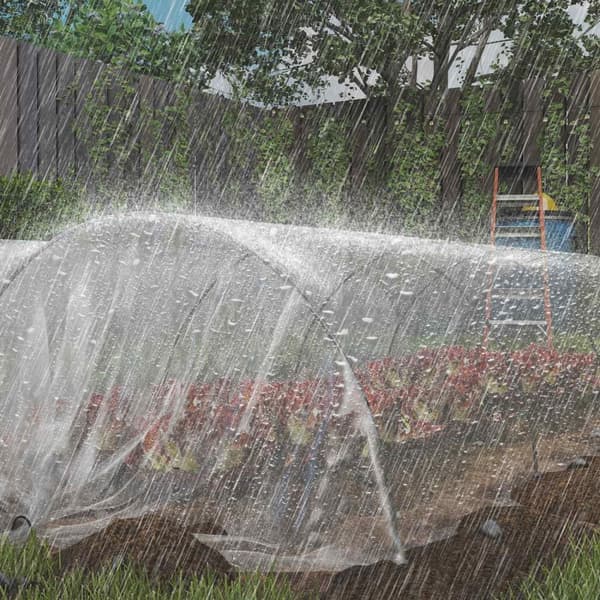 Rootz Greenhouse Cover - Plant Cover - Tarpaulin - UV -resistent & Waterproof - 7M x 8M - Främjar växttillväxt