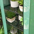 Miniatyrbild 9 av 10: Rootz Mini Greenhouse for Flowers - Vegetable House - Plant Shelter - Compact Design - Steel & Plastic - 69L X 49B X 193H CM