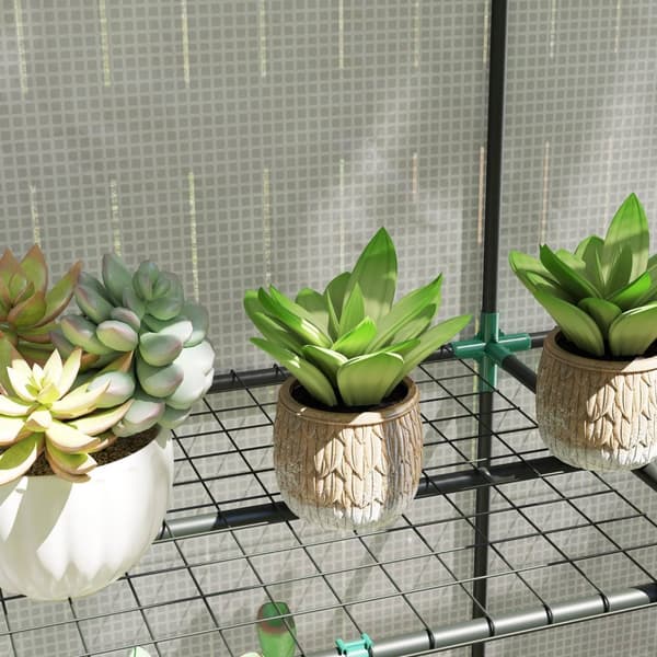 Rootz -mini -Greenhouse - Kasvien suoja - Kannettava kasvihuone - UV -kestävä - 144 x 48 x 152 cm - täydellinen pienille puutarhoille