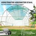 Miniatyrbild 5 av 11: Rootz Poly Tunnel Greenhouse - Walk -In Tent - Growing House - Expand Cultivation Season - 600cm x 300 cm x 197 cm