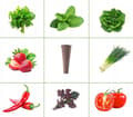 Miniatyrbild 5 av 11: STARTKIT FÖR PLANTOR, INSPEKTION AV PLANTOR, 50 PATRONER, SUBSTRAT, HYDROPONIK