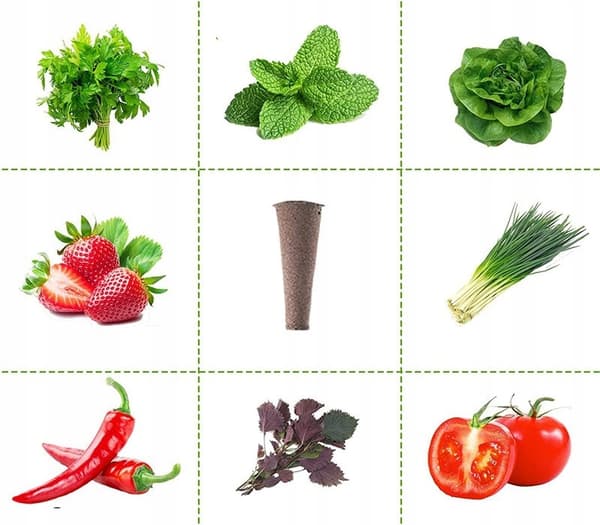 STARTKIT FÖR PLANTOR, INSPEKTION AV PLANTOR, 50 PATRONER, SUBSTRAT, HYDROPONIK