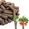 Miniatyrbild 7 av 11: STARTKIT FÖR PLANTOR, INSPEKTION AV PLANTOR, 50 PATRONER, SUBSTRAT, HYDROPONIK