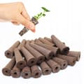 Miniatyrbild 1 av 11: STARTKIT FÖR PLANTOR, INSPEKTION AV PLANTOR, 50 PATRONER, SUBSTRAT, HYDROPONIK