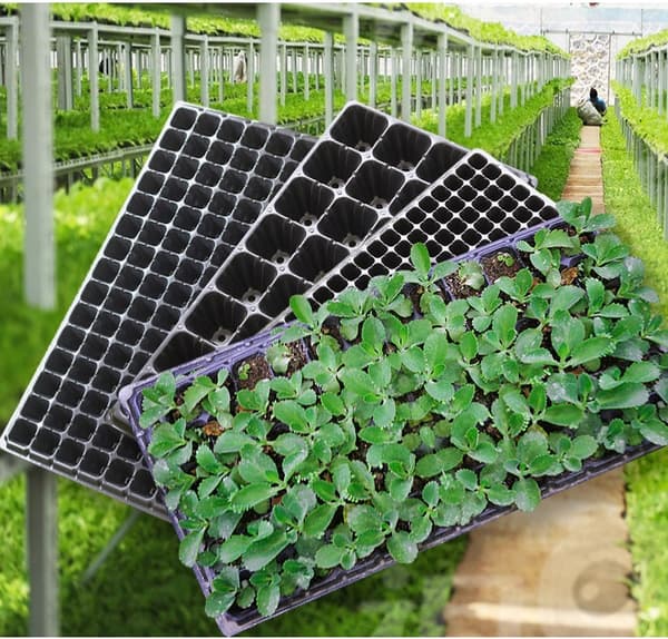 MINI VÄXTHUS LED 5x Lampor 5x Växthus USB Justerbar Ventilation PLANTOR
