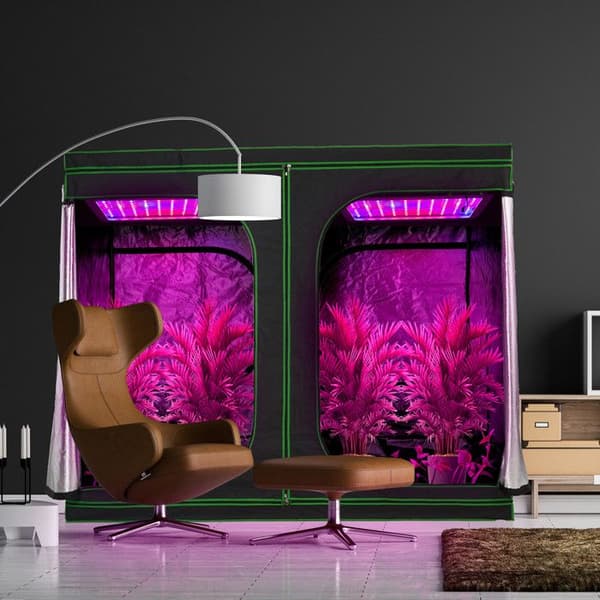 Relaxdays växtskåp, reflekterande film inomhus 95 %, HLP 180 x 80 x 80 cm, för inomhusbruk, svart och grön