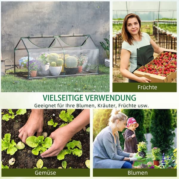 Drivhus med Vindue, 120x60x60 cm, Transparent