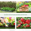Miniatyrbillede 7 af 9: Drivhus, 845-435, 120x79x53 cm, Transparent
