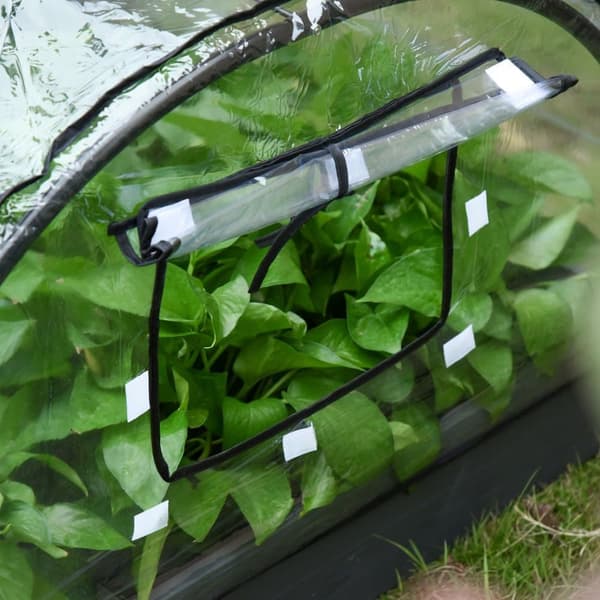 Drivhus, 845-435, 120x79x53 cm, Transparent