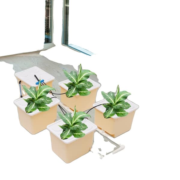 Hydroponisk vækstsysten, 4 plantebeholdere, effektiv DWC-system, højkapacitets vandpumpe