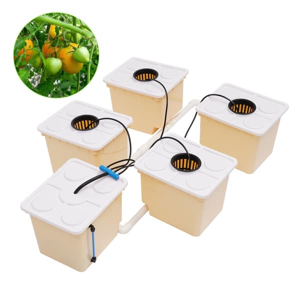 Grøntsags Aquaponic Kit, Fem Spand System, 11L Kapacitet pr. Spand, Effektiv Hydroponisk Vækst