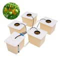 Miniatyrbillede 4 af 4: Grøntsags Aquaponic Kit, Fem Spand System, 11L Kapacitet pr. Spand, Effektiv Hydroponisk Vækst