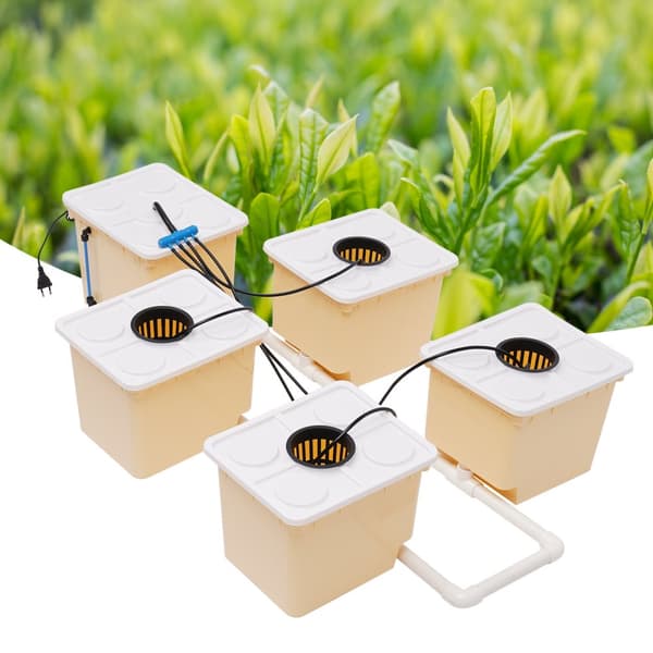 Grøntsags Aquaponic Kit, Fem Spand System, 11L Kapacitet pr. Spand, Effektiv Hydroponisk Vækst
