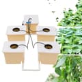 Miniatyrbillede 1 af 4: Grøntsags Aquaponic Kit, Fem Spand System, 11L Kapacitet pr. Spand, Effektiv Hydroponisk Vækst