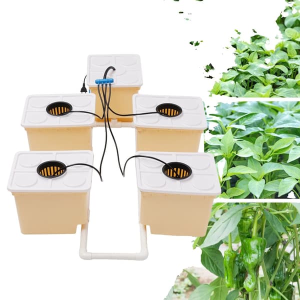 Grøntsags Aquaponic Kit, Fem Spand System, 11L Kapacitet pr. Spand, Effektiv Hydroponisk Vækst