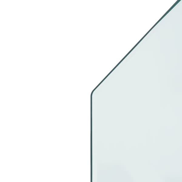 Takan lasilevy kuusikulmio 100x50 cm