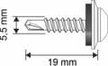 Miniatyrbillede 3 af 9: Selvborende skruer GT5 PH (Z14) 5,5x19mm RAL 9007