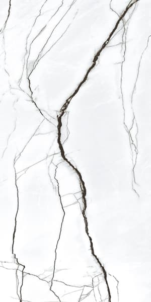 Magnifica Marquina Blanco vägg och golv kakel glans 60x120 imitation marmor vit