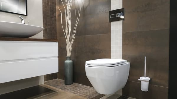 DESSI HOME Collodi seinälle ripustettava wc-istuin