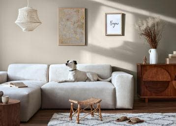 Colors of Nature Plus sandbeige BP08 2,5L