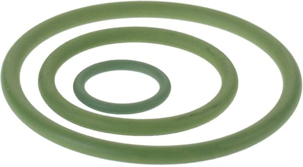 Oring FPM/Viton stål/Inox - 66.7