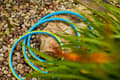 Miniatyrbillede 9 af 11: HAVESLANG TIL VAND 3/4"" 50M PROFESSIONEL 4-LAGS VARTCO