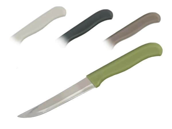 Denis frukostkniv 21 cm blandade färger N 8507