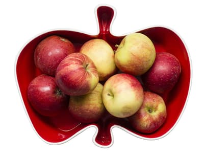 Äpple serveringsskål Sagaform