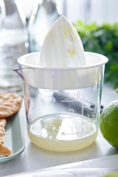 Citruspress 0,3 L Gastromax