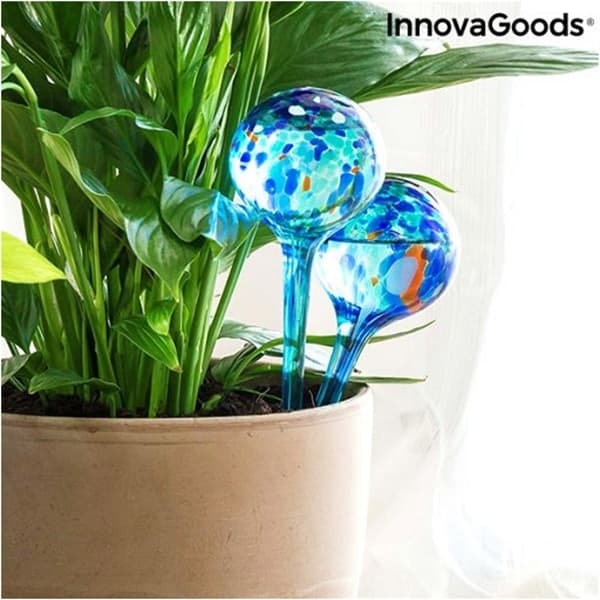 Automatiskt bevattningsystem i glas - 2-Pack