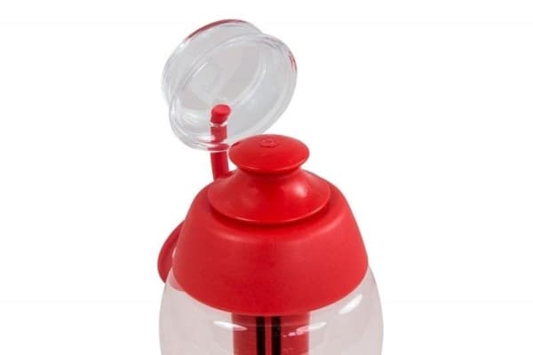 Dafi Filter bottle DAFI 0.3L +1 filter (red)