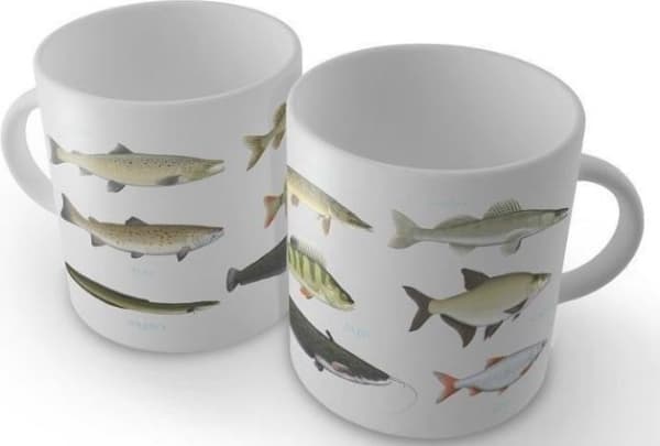Soliton Angler's Cup